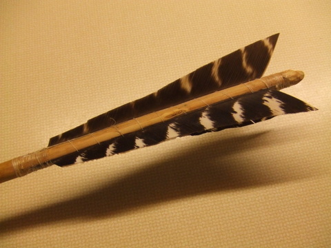 River Cane | Rock Bob's Rocks