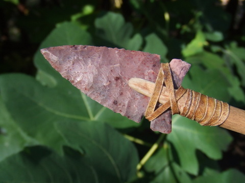 River Cane | Rock Bob's Rocks